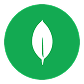MongoDB